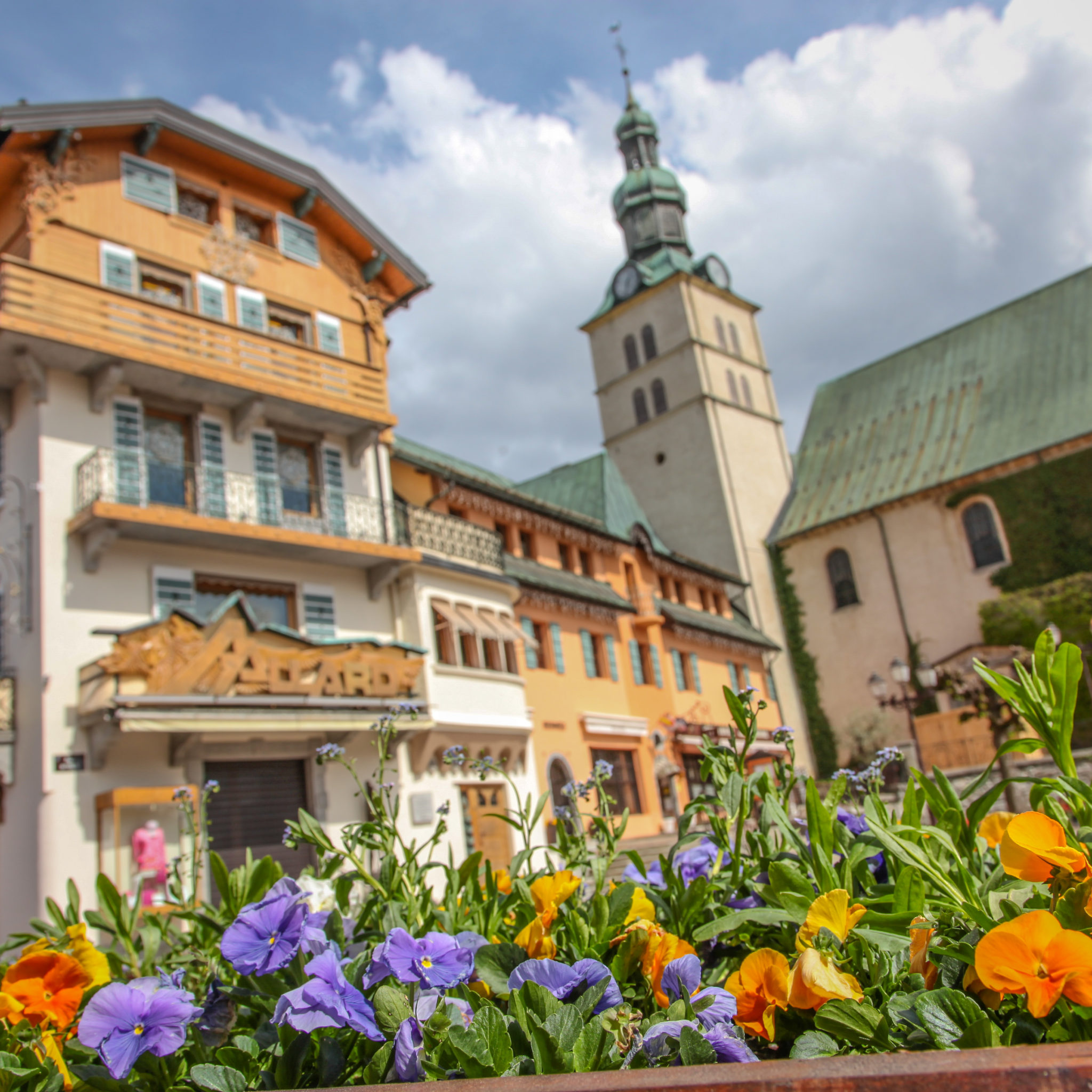 fleurs place de la mairie