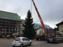 installation du sapin sur la place