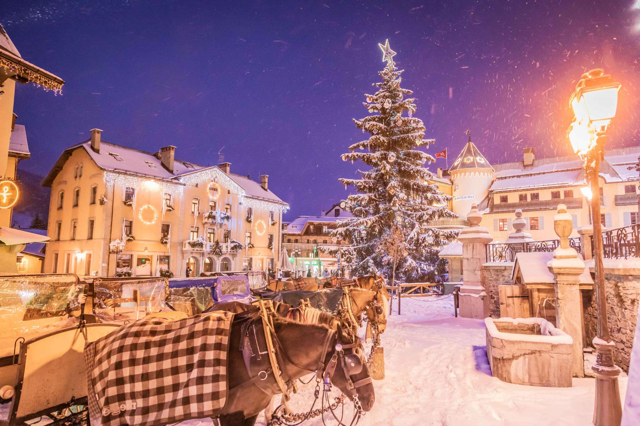 Calèches de nuit en hiver